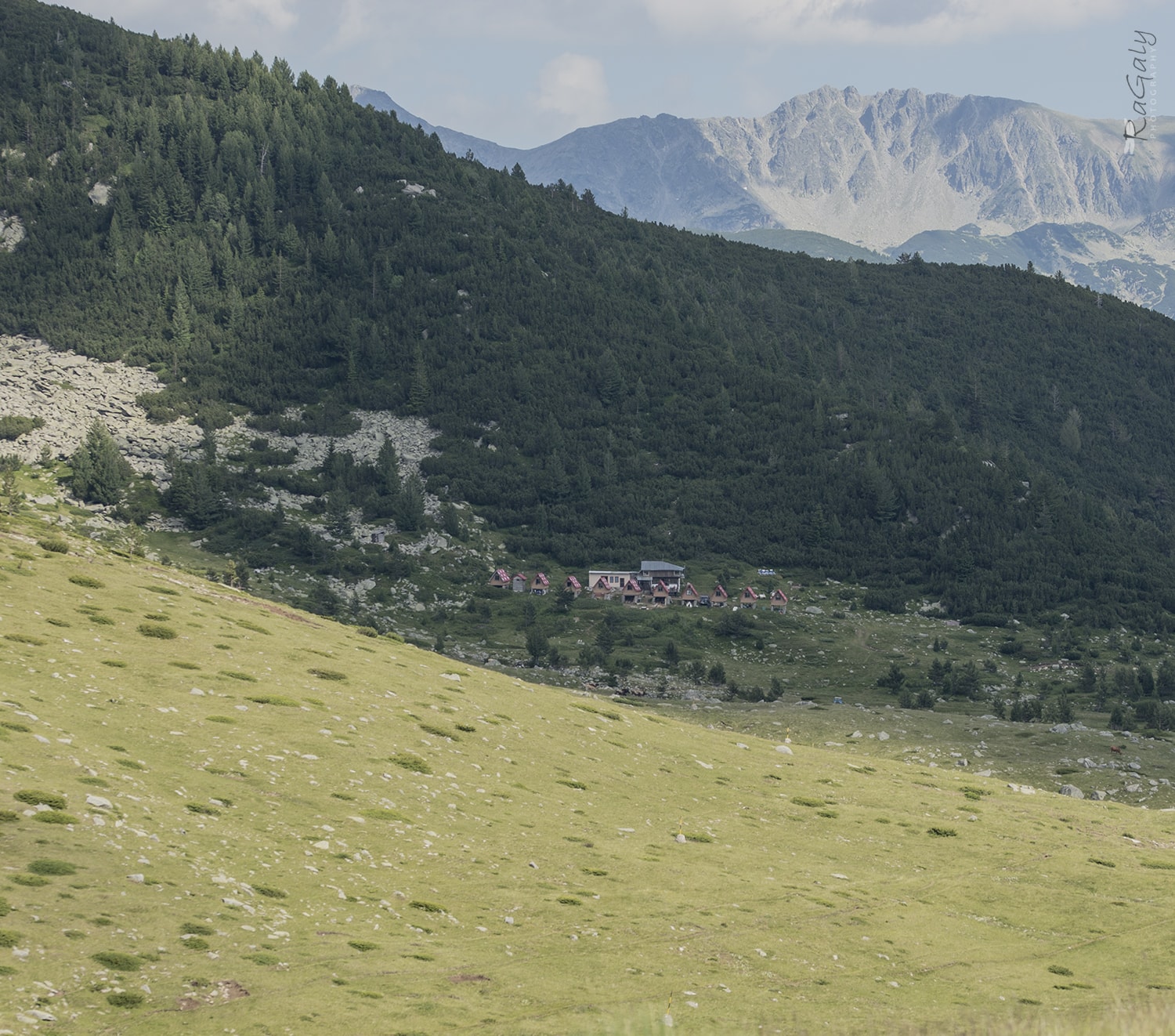 Spano pole_Landscape