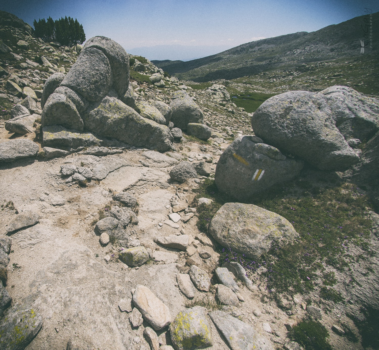 Pirin