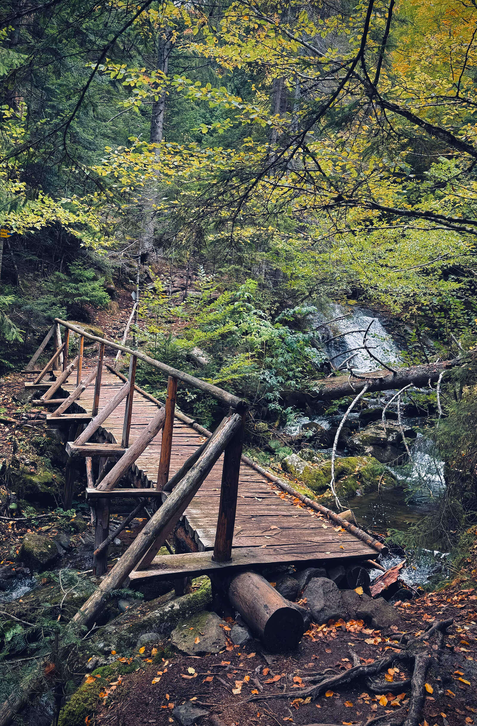 По екопътека Каньонът на водопадите