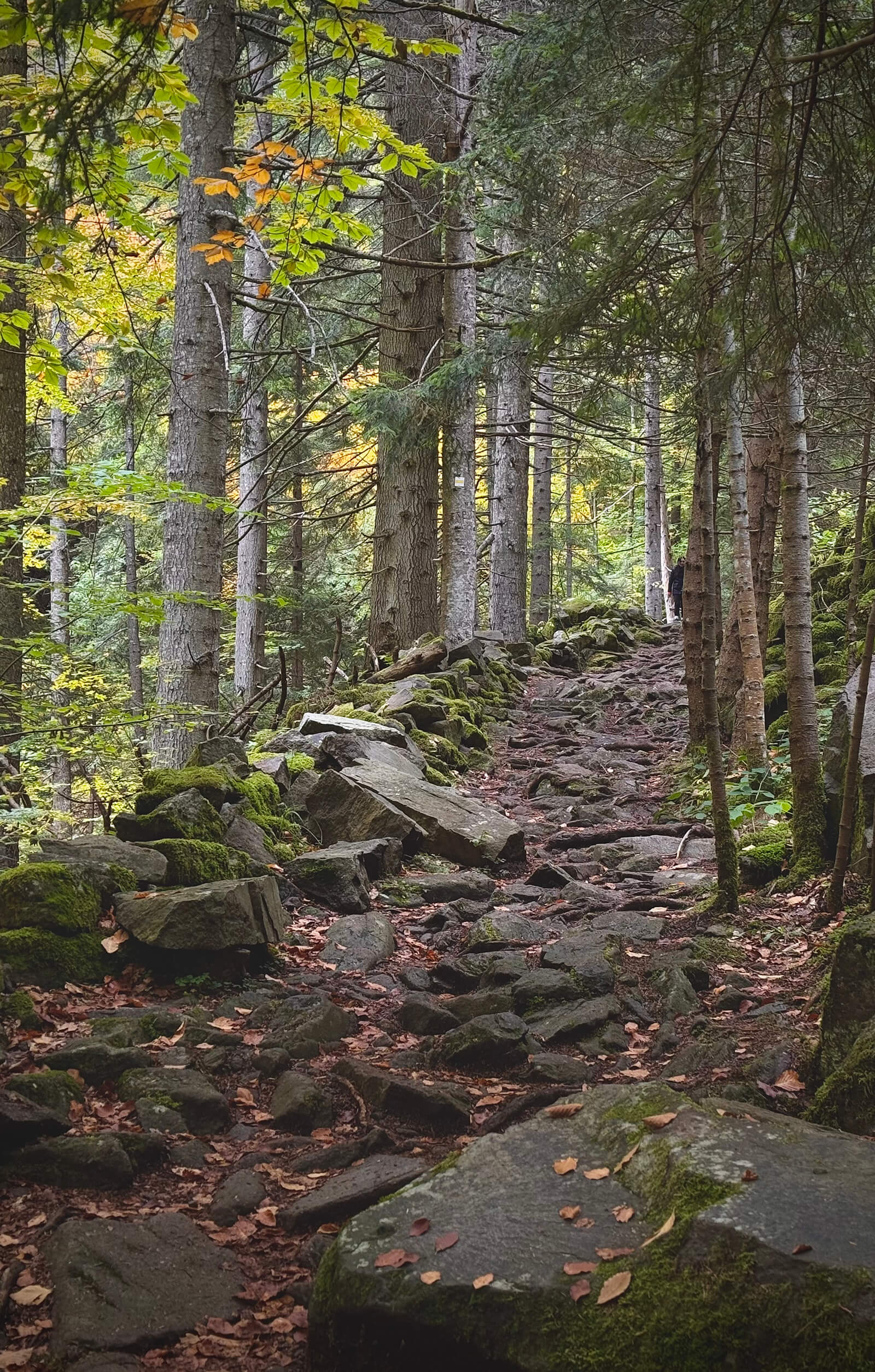 По екопътека Каньонът на водопадите