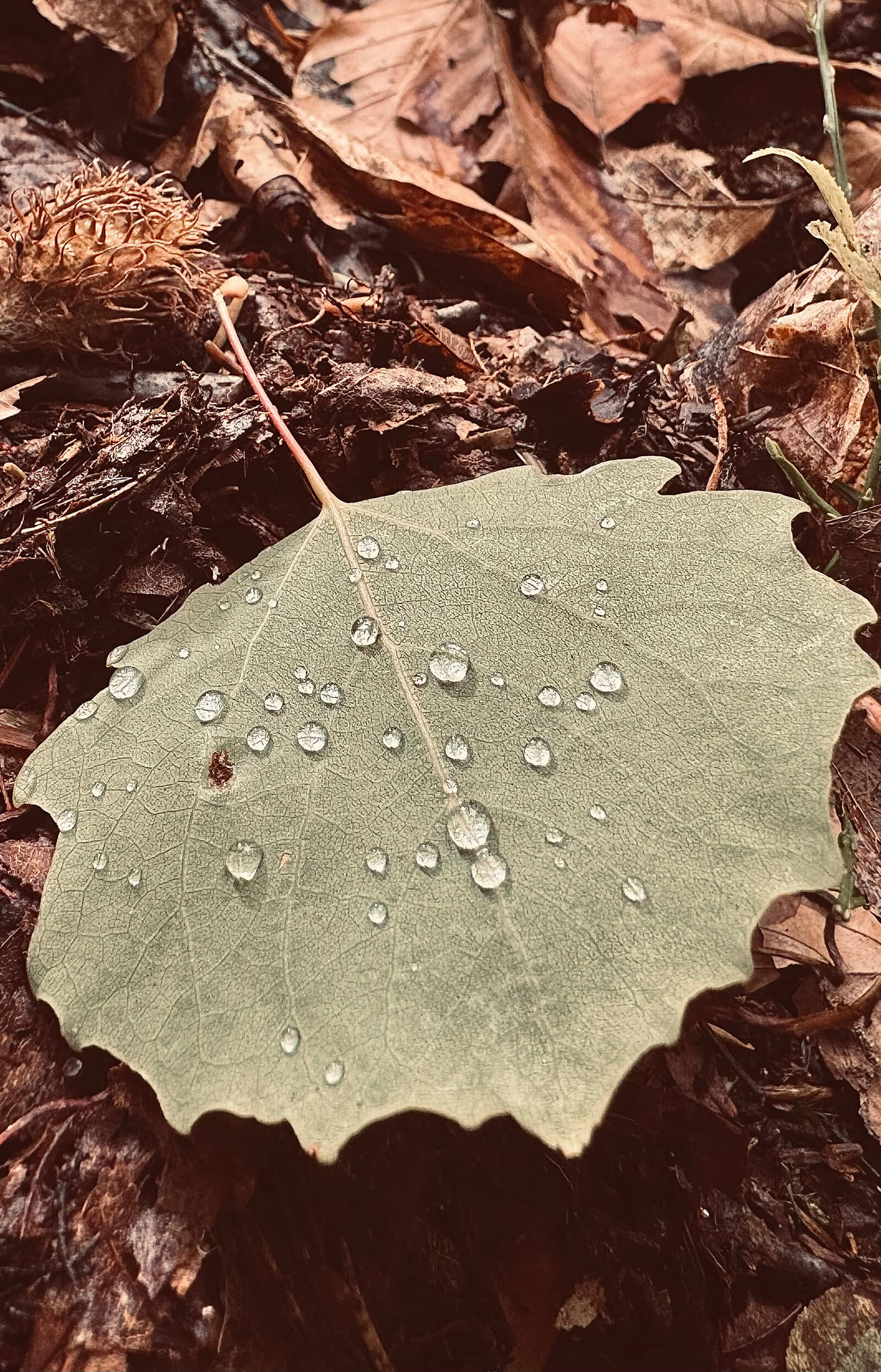 По екопътека Каньонът на водопадите
