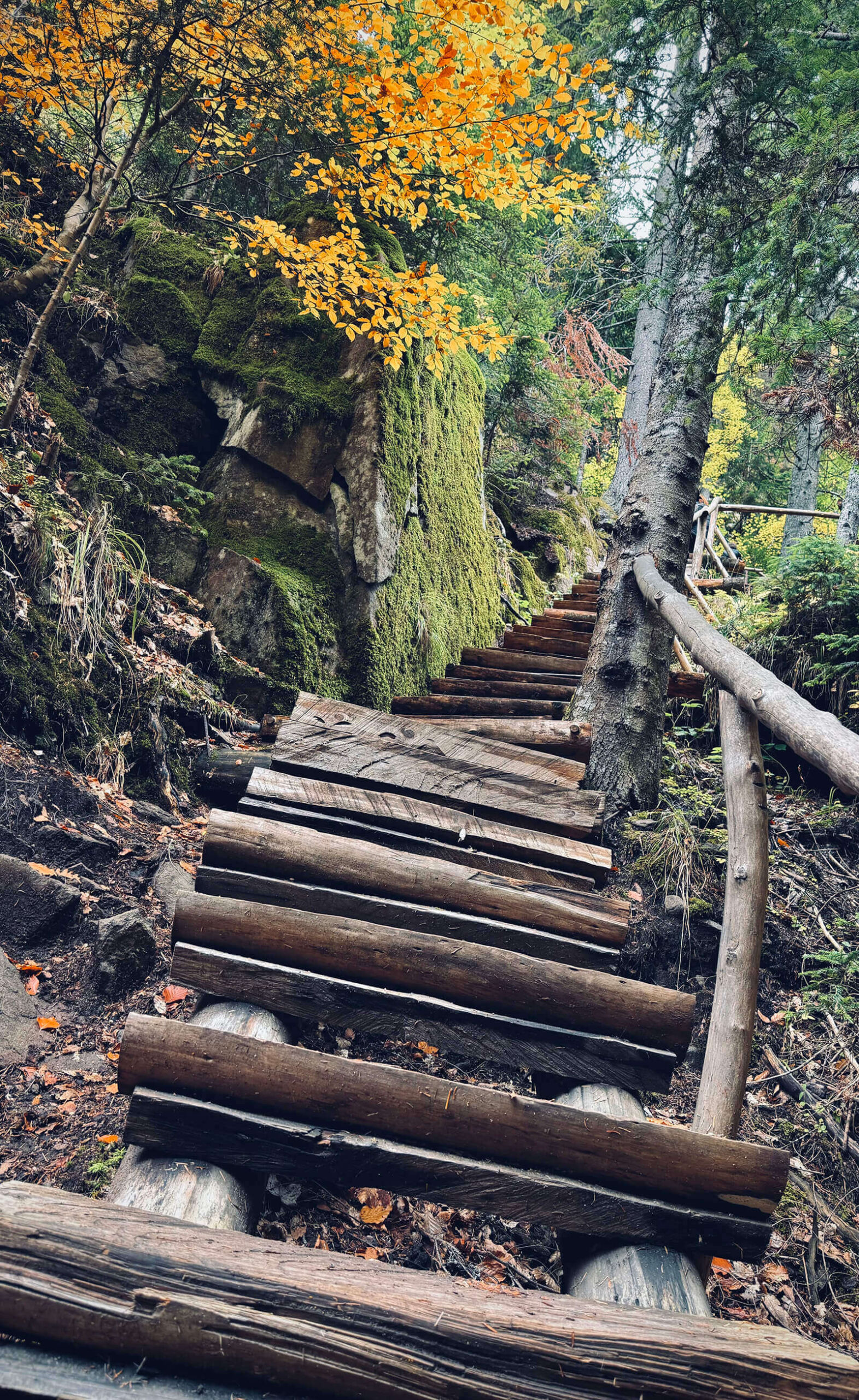 Стръмни стълби напред към водопада Орфей