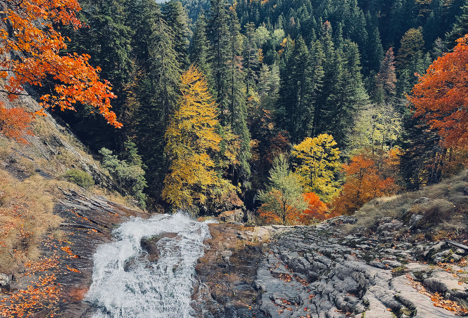 Местност "Сърцето" по екопътека Каньонът на водопадите
