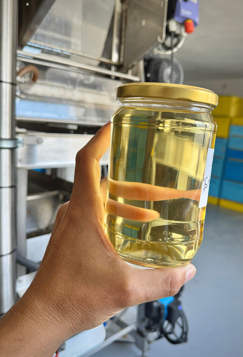 снимка на съмнителен мед в стъклен буркан