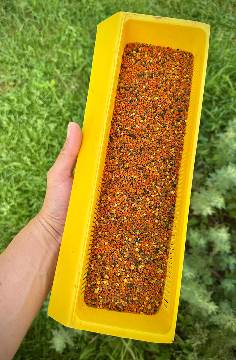 Чист цветен прашец от GHoney, добит с външни прашецоуловители